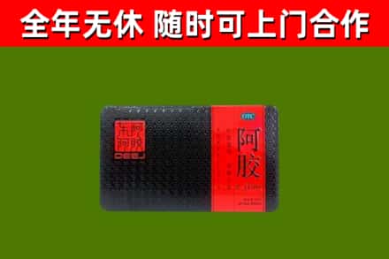 肃北回收阿胶