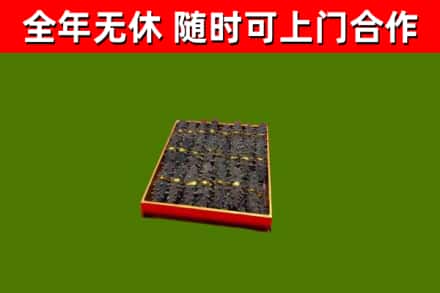 肃北回收海参